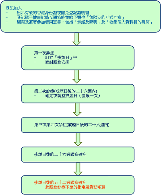 先導計劃的主要流程 先導計劃的主要流程